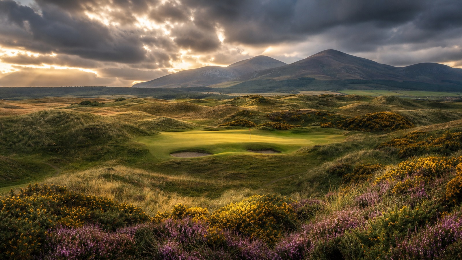 Scenic golf course image representing What Makes Royal County Down One of Golf's Most Legendary Courses?